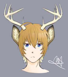 Headshot + Full shading